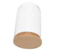 ULDIGI Copertura per polvere micro paesaggio contenitori di vetro trasparente vaso idroponico Copertura di vetro trasparente vaso di fiori desktop Transparent