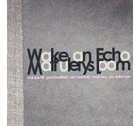 Matt Ulery Wake an Echo (CD) Album