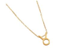 ULIJTH Elegante collana girocollo in acciaio con costellazioni e simbolo della lettera dodici segni zodiacali alla clavicola, robusta collana in acciaio