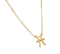 ULIJTH Elegante collana girocollo in acciaio con costellazioni e simbolo della lettera dodici segni zodiacali alla clavicola, robusta collana in acciaio