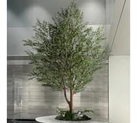 Ulivo artificiale, non necessita di cure, non richiede annaffiature/luce solare, aspetto fresco tutto l'anno, perfetto for le persone impegnate e gli amanti delle(2m*2m)