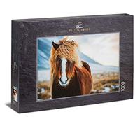 Ulmer Puzzleschmiede - Puzzle "Cavallo islandese in inverno" - bel puzzle di cavalli: bel pony islandese di fronte alla natura invernale in Islanda