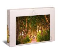 Ulmer Puzzleschmiede - Puzzle da 1000 pezzi The Dark Hedges - Sentiero silenzioso attraverso il misterioso faggio intrecciato, viale in Irlanda del Nord - mistico e atmosferico - Qualità Made in