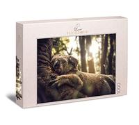 Ulmer Puzzleschmiede - Puzzle "Il sognatore" - Koala inizia comodamente la giornata - Piacevole puzzle da 1000 pezzi di animali australiani con l'orso coalaba che dorme