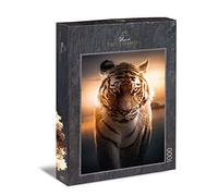Ulmer Puzzleschmiede - Puzzle "Occhi della notte" - Puzzle classico da 1000 pezzi di tigre - Gli occhi del gatto predatore brillano di notte - Intensivo puzzle per adulti Made in Germany