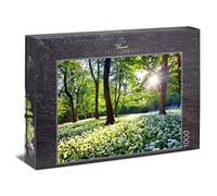Ulmer Puzzleschmiede - Puzzle "Primavera Sun" - Classico puzzle naturale da 1000 pezzi Made in Germany - I caldi raggi del sole ravvivano la foresta in primavera, i fiori fioriscono, il paesaggio