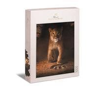 Ulmer Puzzleschmiede - Puzzle "Simba" - Il piccolo leone come classico puzzle da 1000 pezzi - Il dolce babby leone vuole diventare un supporto per il tronco in grandi api