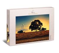 Ulmer Puzzleschmiede - Puzzle "Tempo del raccolto" - Puzzle classico da 1000 pezzi con motivo agricolo - Mietitrebbia Lavori sul campo dei cereali al sole della sera - Qualità Puzzle Made in Germany