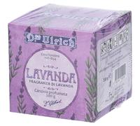 Ulrich Candela Lavanda Altro