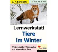 Ulrike Stolz Ly Lernwerkstatt Tiere im Winter: Winterschläfer, Winte (Broschüre)