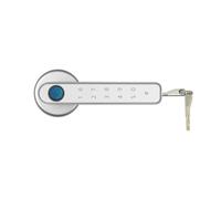 ULROKHKUL Serratura intelligente, Con Serratura Intelligente For Porta Impronta Digitale Biometrica, Elettronica, Password, Maniglia Di Sicurezza Senza Chiave For La Casa(Silver Without APP)