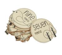 ULTECHNOVO 12 Pezzi Carte Annuncio Ragazzo Ragazza Segni Milestone Mensili Stampa Decorazioni Battesimo Compleanno Design Animali