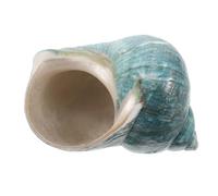 ULTECHNOVO Conchiglia Naturale Mediterranea Specimen Decorativa per Acquario e Casa Ornamento Unico per Paesaggio Marino e Collezione
