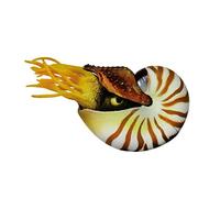 ULTECHNOVO Decorazioni a Guscio Conchiglia Conchiglie di acquari Prodotti Decorazione dell'acquario Decorazioni per acquari per Pesci d'acquario Decor del Serbatoio di Pesce