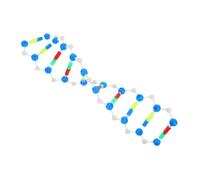 ULTECHNOVO Modello Genetico a Doppia Kit Modello Dna Modello Molecolare Chimico Modello Dna Di Biochimica Modello Di Dna Biologico Modello Di Dna Di Laboratorio Modello Del Dna Plastica