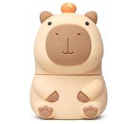 Ulticool Capybara - Chiavetta USB C da 64 GB, per cellulare o laptop, gadget divertenti, smartphone Android, per adolescenti, ragazze, ragazzi, idea di compleanno, Kawaii Stuff