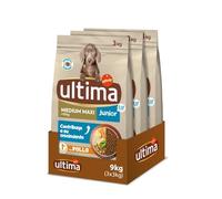 Ultima Cibo per Cani Medium-Maxi Junior con Pollo - Confezione da 3 x 3 kg - Totale: 9 kg