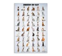 Ultimate Cat Breeds Poster - From Around the Globe, Humorous & Educational Pet Lover Wall Decor for Apartment, Study, Gift for Her Him(Unframed,12x18inch(30x45cm))