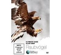 Ultimate Guide - Alles über Raubvögel - Discovery World