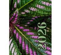 Ultimate Life Organizer: Your All-in-One Planner for a Balanced and Inspired Year 2026: Elevate Your Daily Routine with Creativity, Reflection, and Motivation