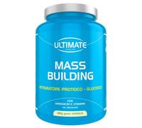Ultimate Mass Building Van 1,8