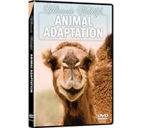Ultimate Wildlife - Animal Adaptation