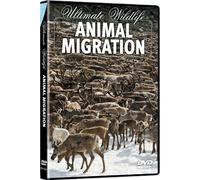 Ultimate Wildlife - Animal Migration