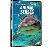 Ultimate Wildlife - Animal Senses