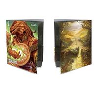 Dungeons & Dragons E-18593 Character Portfolio, Multi-Coloured