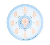 Ultrassist Strumento di posizione fetale per ostetriche, di piccole dimensioni, 13 cm, ruota di posizione fetale per ostetriche, doula e ostetrici, strumento educativo per il parto per studenti di