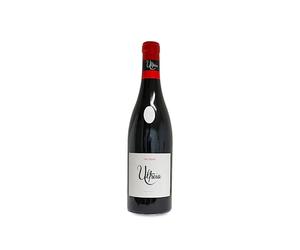 Ultreia Villegas 2023