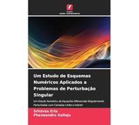 Um Estudo de Esquemas Numéricos Aplicados a Problemas de Perturbação Singular: Um Estudo Numérico de Equações Diferenciais Singularmente Perturbadas com Camadas Limite e Interior