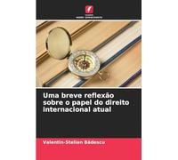 Uma breve reflexão sobre o papel do direito internacional atual