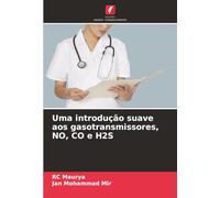 Uma introdução suave aos gasotransmissores, NO, CO e H2S