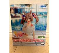 Uma Musume Pretty Derby Yumemirize "Smart Falcon" - GazeonMe-