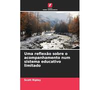 Uma reflexão sobre o acompanhamento num sistema educativo limitado