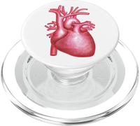umano, anatomia, cuore, illustrazione PopSockets PopGrip per MagSafe