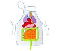 Umano-scienziato Per Strumenti Di Insegnamento Anatomia Per Modello Del Corpo | Grembiule 'organo 3D, Modello Scienziato Del Corpo Umano Per Le, Utensili Da Insei