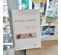 Umberto Vincenti SAGGINE DI CHI È LA COLPA SETTE POSSIBILI CAUSE DEL DISSESTO DE