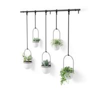 Umbra Fioriera sospesa per piante grasse, erbe aromatiche e altre piccole piante, bianco, set da 5