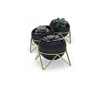 Umbra Potsy Fioriera, set di 3, Gres, Nero/ottone