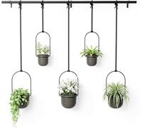Umbra Triflora Nero Vaso per Fiori Pensili Parete da Sospeso