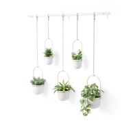 Umbra Triflora Portavasi da Appendere, Set di 5, Bianco/Ottone