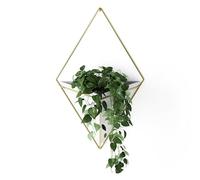 Umbra Trigg Vasi da Parete, Vasi da Appendere al Muro, Grande, Bianco/Ottone