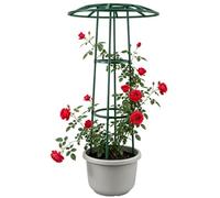 Umbrella Trellis | Heavy Duty Backyard Flower Support Frame