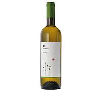 Umbria IGT Grechetto Fiordaliso Cantina Roccafiore 2024, 0,75 ℓ
