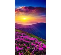 Umfarvt 5D Diamond Art Painting,Mountains Fields Diamond Painting Kits for Adults,DIY Round Full Drill Canvas Embroidery Cross Stitch,Diamond Arts Crafts Painting Pictures for Home Wall Decor 20x50cm