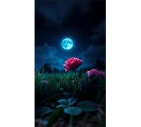 Umfarvt 5D Diamond Art Painting,Night Rose Red Diamond Painting Kits for Adults,DIY Square Full Drill Canvas Embroidery Cross Stitch,Diamond Arts Crafts Painting Pictures for Home Wall Decor 20x50cm