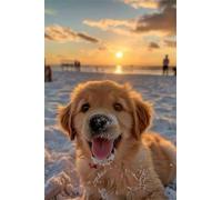 Umfarvt 5D Diamond Painting Kit Completo Adulti Spiaggia per cani 100x130cm,DIY Square Pittura Diamante painting Kit,diamond Art Ricamo a Punto Croce Artigianale,Decorazione Della Parete Di Casa