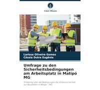 Umfrage zu den Sicherheitsbedingungen am Arbeitsplatz in Matipó MG: Erhebung über die Bedingungen der Arbeitssicherheit auf Baustellen in Matipó - MG